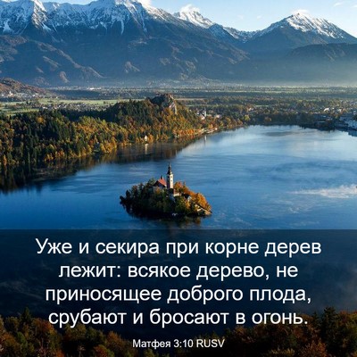Picture 03 - Матфея 3:10 RUSV - Уже и секира при корне - Bible Verse Picture