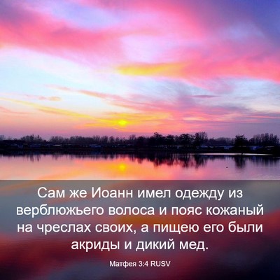 Picture 03 - Матфея 3:4 RUSV - Сам же Иоанн имел одежду из - Bible Verse Picture