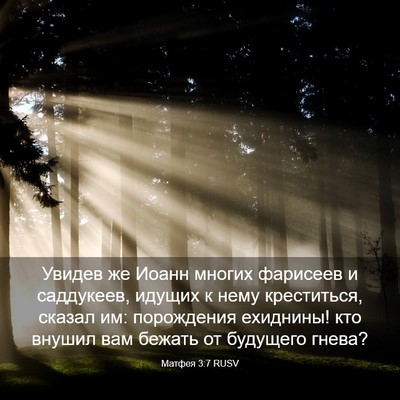 Picture 03 - Матфея 3:7 RUSV - Увидев же Иоанн многих - Bible Verse Picture