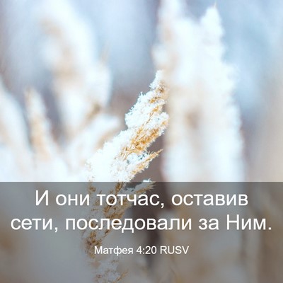 Picture 03 - Матфея 4:20 RUSV - И они тотчас, оставив сети, - Bible Verse Picture