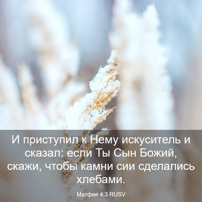 Picture 03 - Матфея 4:3 RUSV - И приступил к Нему - Bible Verse Picture