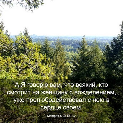 Picture 03 - Матфея 5:28 RUSV - А Я говорю вам, что всякий, - Bible Verse Picture