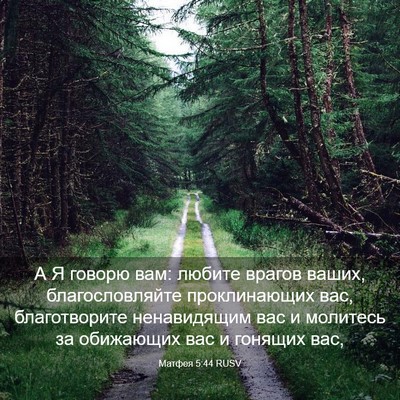 Picture 03 - Матфея 5:44 RUSV - А Я говорю вам: любите - Bible Verse Picture