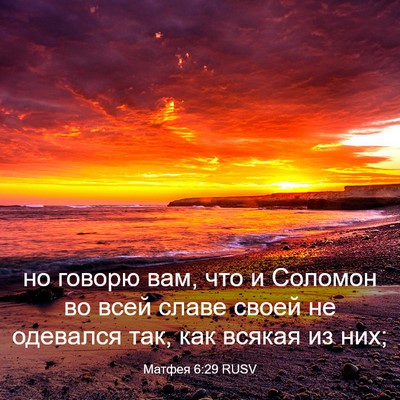 Picture 03 - Матфея 6:29 RUSV - но говорю вам, что и - Bible Verse Picture