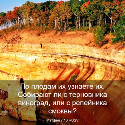 Picture 03 - Матфея 7:16 RUSV - По плодам их узнаете их. - Bible Verse Picture