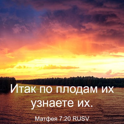 Picture 03 - Матфея 7:20 RUSV - Итак по плодам их узнаете - Bible Verse Picture