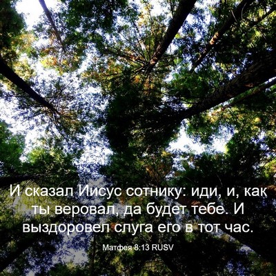 Picture 03 - Матфея 8:13 RUSV - И сказал Иисус сотнику: - Bible Verse Picture