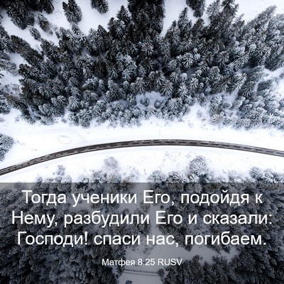 Picture 03 - Матфея 8:25 RUSV - Тогда ученики Его, подойдя - Bible Verse Picture