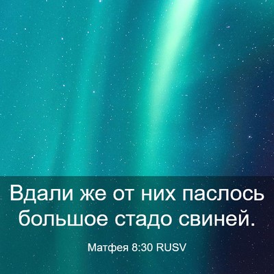 Picture 03 - Матфея 8:30 RUSV - Вдали же от них паслось - Bible Verse Picture