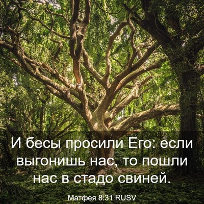 Picture 03 - Матфея 8:31 RUSV - И бесы просили Его: если - Bible Verse Picture