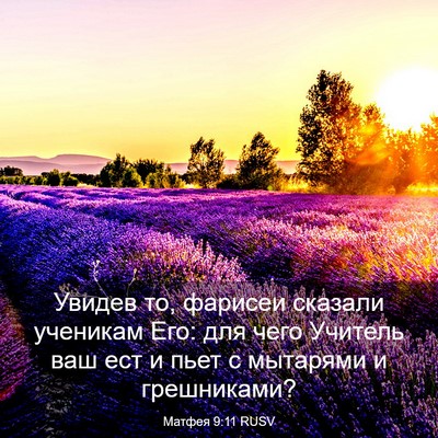 Picture 03 - Матфея 9:11 RUSV - Увидев то, фарисеи сказали - Bible Verse Picture