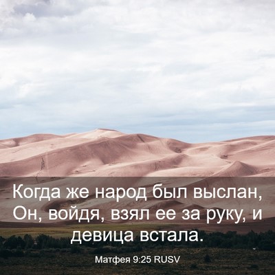 Picture 03 - Матфея 9:25 RUSV - Когда же народ был выслан, - Bible Verse Picture