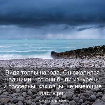 Picture 03 - Матфея 9:36 RUSV - Видя толпы народа, Он - Bible Verse Picture