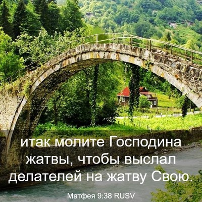 Picture 03 - Матфея 9:38 RUSV - итак молите Господина - Bible Verse Picture