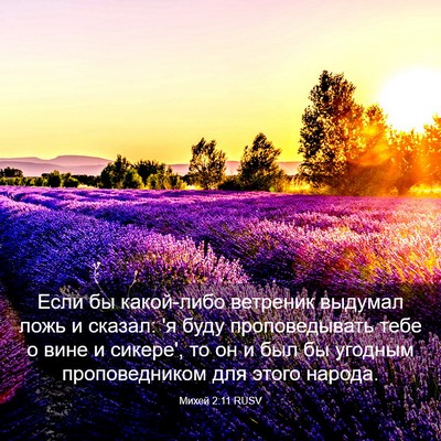 Picture 03 - Михей 2:11 RUSV - Если бы какой-либо - Bible Verse Picture