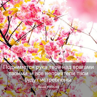 Picture 03 - Михей 5:9 RUSV - Поднимется рука твоя над - Bible Verse Picture