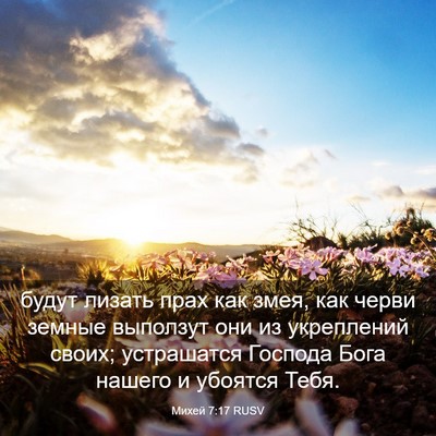 Picture 03 - Михей 7:17 RUSV - будут лизать прах как змея, - Bible Verse Picture