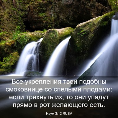 Picture 03 - Наум 3:12 RUSV - Все укрепления твои - Bible Verse Picture