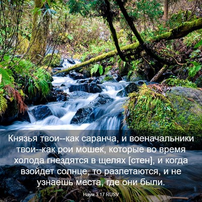 Picture 03 - Наум 3:17 RUSV - Князья твои--как саранча, и - Bible Verse Picture