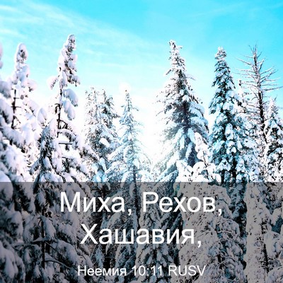 Picture 03 - Неемия 10:11 RUSV - Миха, Рехов, - Bible Verse Picture