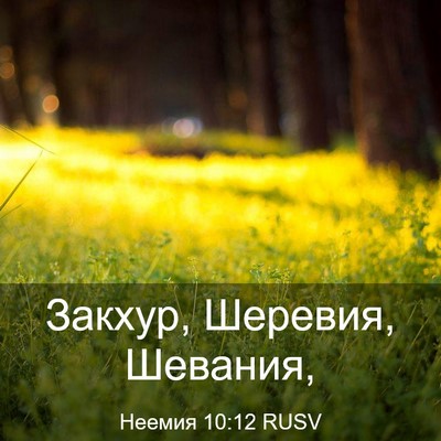 Picture 03 - Неемия 10:12 RUSV - Закхур, Шеревия, - Bible Verse Picture