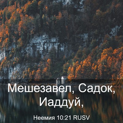 Picture 03 - Неемия 10:21 RUSV - Мешезавел, Садок, - Bible Verse Picture