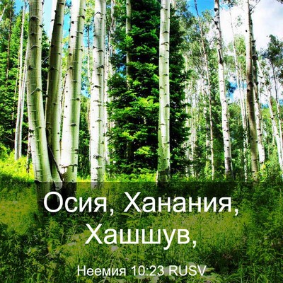 Picture 03 - Неемия 10:23 RUSV - Осия, Ханания, - Bible Verse Picture