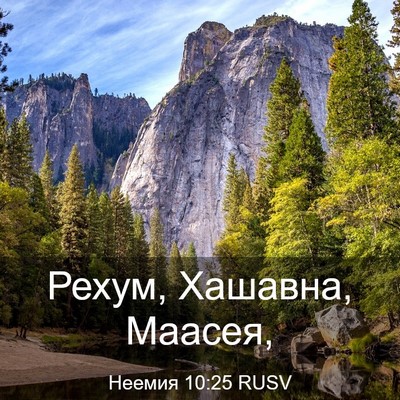 Picture 03 - Неемия 10:25 RUSV - Рехум, Хашавна, - Bible Verse Picture