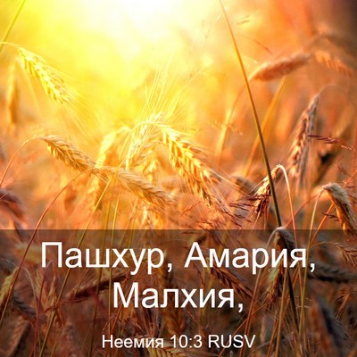 Picture 03 - Неемия 10:3 RUSV - Пашхур, Амария, - Bible Verse Picture