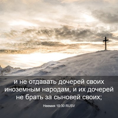 Picture 03 - Неемия 10:30 RUSV - и не отдавать дочерей - Bible Verse Picture