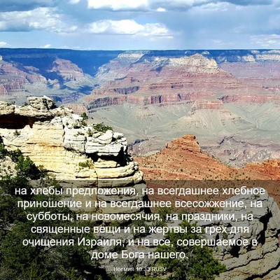 Picture 03 - Неемия 10:33 RUSV - на хлебы предложения, на - Bible Verse Picture