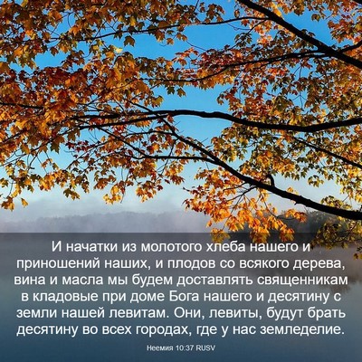 Picture 03 - Неемия 10:37 RUSV - И начатки из молотого - Bible Verse Picture