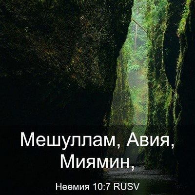 Picture 03 - Неемия 10:7 RUSV - Мешуллам, Авия, - Bible Verse Picture