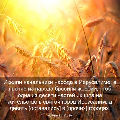Picture 03 - Неемия 11:1 RUSV - И жили начальники народа в - Bible Verse Picture