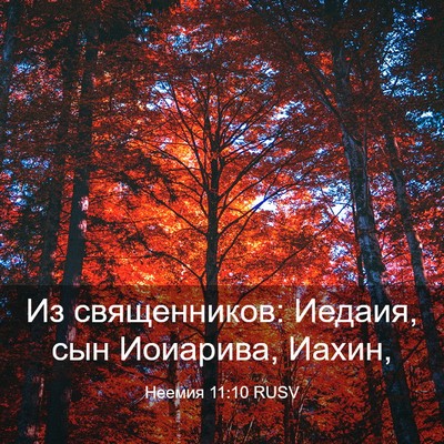 Picture 03 - Неемия 11:10 RUSV - Из священников: Иедаия, сын - Bible Verse Picture