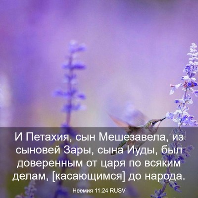 Picture 03 - Неемия 11:24 RUSV - И Петахия, сын Мешезавела, - Bible Verse Picture