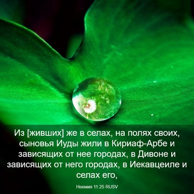 Picture 03 - Неемия 11:25 RUSV - Из [живших] же в селах, на - Bible Verse Picture