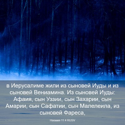 Picture 03 - Неемия 11:4 RUSV - в Иерусалиме жили из - Bible Verse Picture