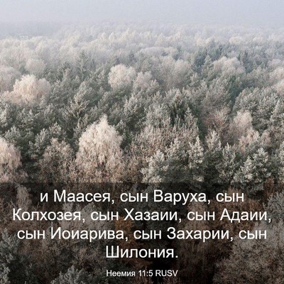 Picture 03 - Неемия 11:5 RUSV - и Маасея, сын Варуха, сын - Bible Verse Picture