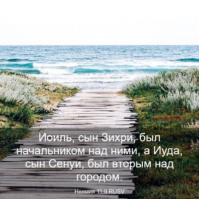 Picture 03 - Неемия 11:9 RUSV - Иоиль, сын Зихри, был - Bible Verse Picture