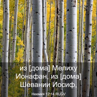 Picture 03 - Неемия 12:14 RUSV - из [дома] Мелиху Ионафан, из - Bible Verse Picture