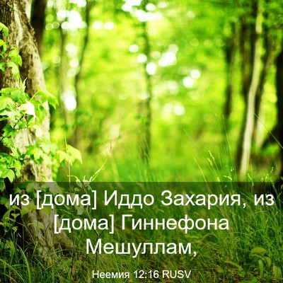 Picture 03 - Неемия 12:16 RUSV - из [дома] Иддо Захария, из - Bible Verse Picture