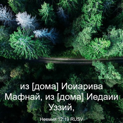 Picture 03 - Неемия 12:19 RUSV - из [дома] Иоиарива Мафнай, - Bible Verse Picture