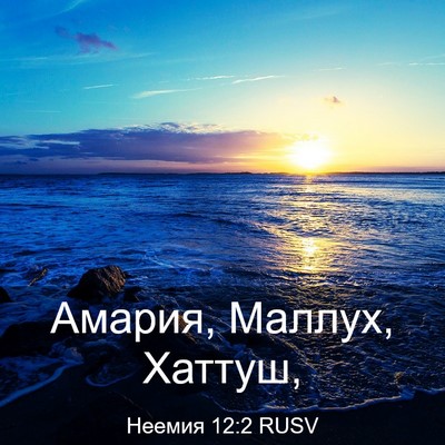 Picture 03 - Неемия 12:2 RUSV - Амария, Маллух, - Bible Verse Picture