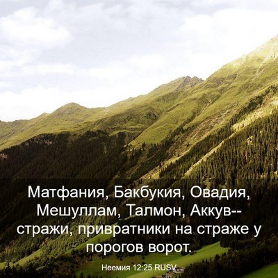 Picture 03 - Неемия 12:25 RUSV - Матфания, Бакбукия, Овадия, - Bible Verse Picture