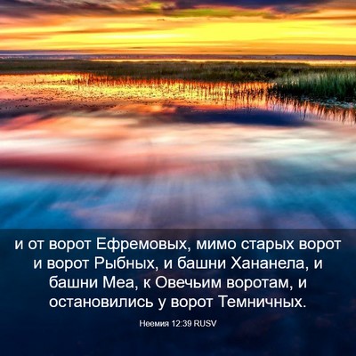 Picture 03 - Неемия 12:39 RUSV - и от ворот Ефремовых, мимо - Bible Verse Picture
