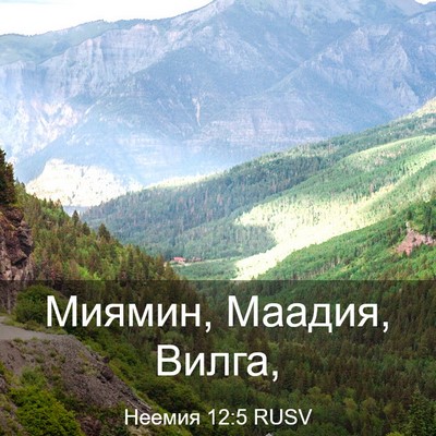 Picture 03 - Неемия 12:5 RUSV - Миямин, Маадия, - Bible Verse Picture