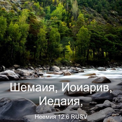 Picture 03 - Неемия 12:6 RUSV - Шемаия, Иоиарив, - Bible Verse Picture