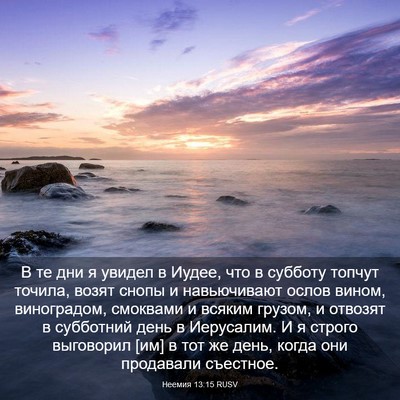 Picture 03 - Неемия 13:15 RUSV - В те дни я увидел в Иудее, - Bible Verse Picture