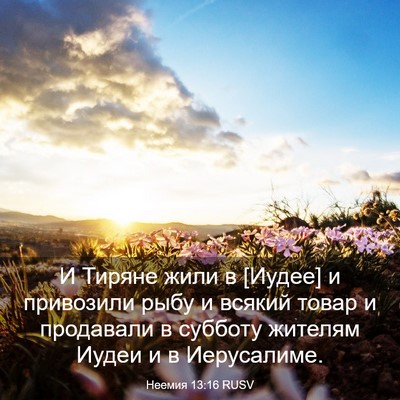 Picture 03 - Неемия 13:16 RUSV - И Тиряне жили в [Иудее] и - Bible Verse Picture